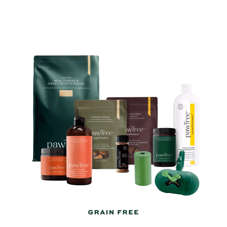 Puppy starter kit from Pawtree, all the essentials you need for your new puppy.
