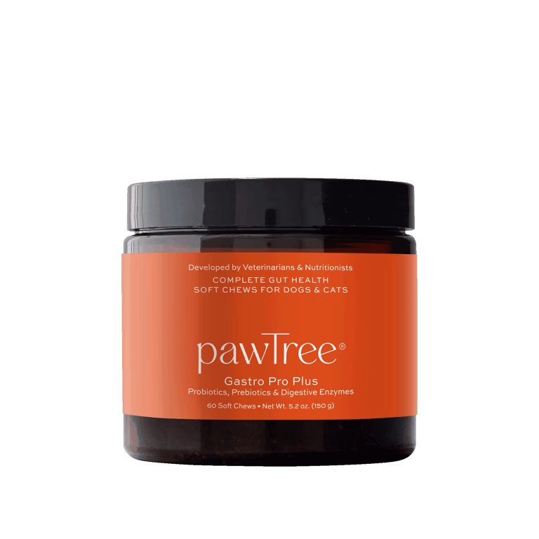 Healthy probiotic for dogs and puppies from Pawtree